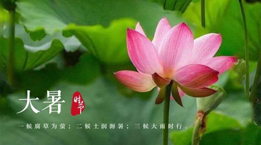 大暑时节的传统习俗有哪些  金环电器来告诉你